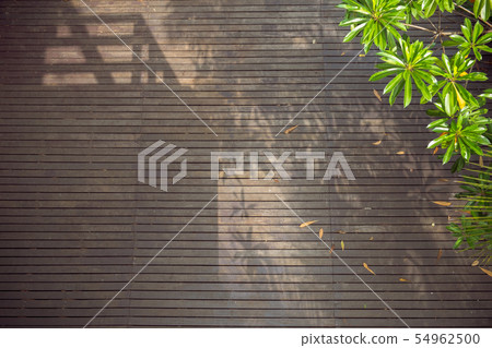 Sunshine on dark wooden floor in summer. 54962500
