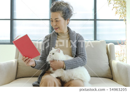 cat, curiosity, ease 54963205