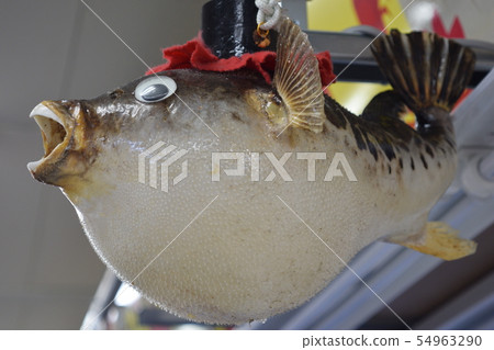 Okinawa Market Puffer Paper Lantern 54963290