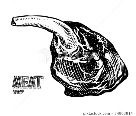 Grilled meat, BBQ Pork or beef leg. Barbecue... - Stock Illustration ...