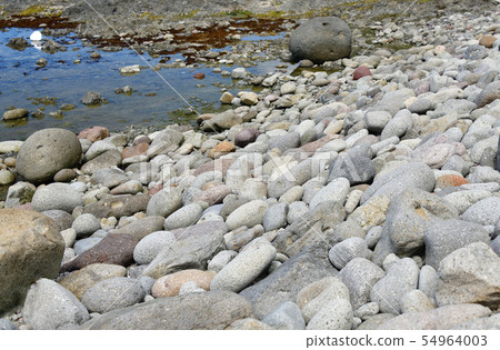 在北海道Taisei病房的Nagasu海灘上拍攝一塊岩石的夏季景觀與圓形石頭 54964003