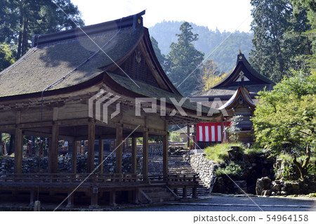 Hiyoshi Taisha Hiyoshi Taisha 54964158