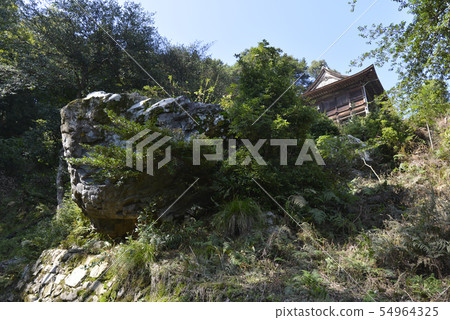 Hiyoshi Taisha Gold Daisuke 54964325