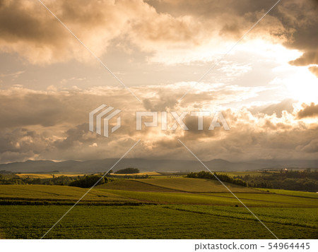 Hokkaido Biei New hill Hokkaido Biei New hill 54964445