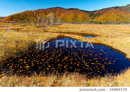 A pond of Ozegahara of autumn leaves of grass and a mountain range of autumn leaves A pond of Ozegahara of autumn leaves of grass and a mountain range of autumn leaves 54964579