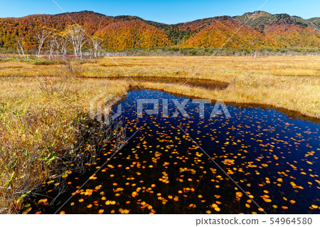 A pond of Ozegahara of autumn leaves of grass and a mountain range of autumn leaves A pond of Ozegahara of autumn leaves of grass and a mountain range of autumn leaves 54964580