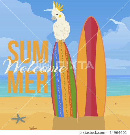 Parrot paradise beach banner vector illustration. Summer welcome. Birds sitting on surfing board 54964601