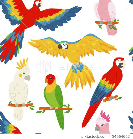 Parrots macaw red-blue isolated on white background seamless pattern vector illustration. Flying and Parrots macaw red-blue isolated on white background seamless pattern vector illustration. Flying and 54964602