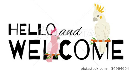 Parrots banner vector illustration. Hello and welcome. Birds sitting on branches. Wildlife of jungle Parrots banner vector illustration. Hello and welcome. Birds sitting on branches. Wildlife of jungle 54964604