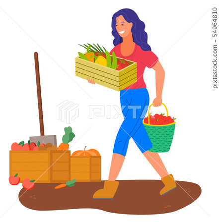 Woman on Plantation Carrying Harvested Veggies Woman on Plantation Carrying Harvested Veggies 54964810