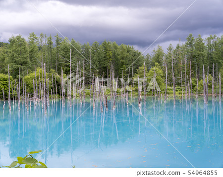 北海道藍塘 北海道藍塘 54964855