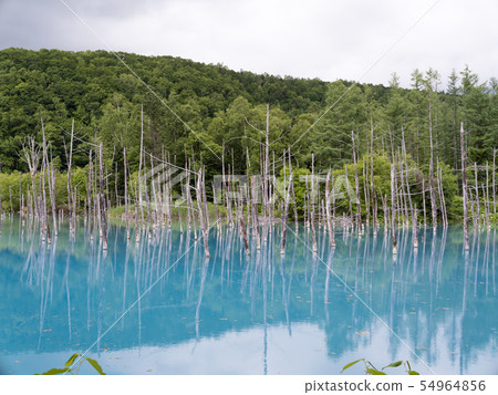 北海道藍塘 北海道藍塘 54964856
