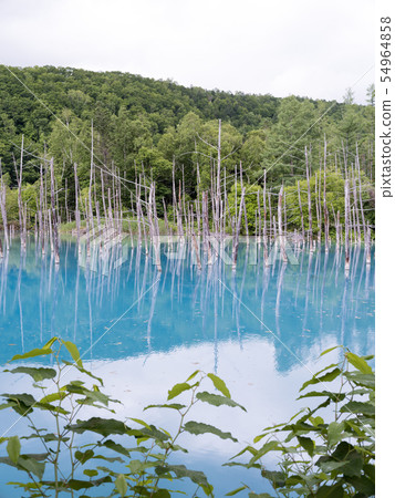 Hokkaido Blue Pond 54964858