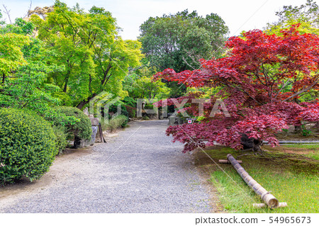 京都市的Kenji寺 54965673