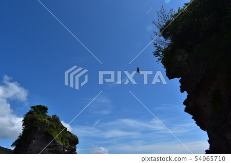 Sky Sky 54965710