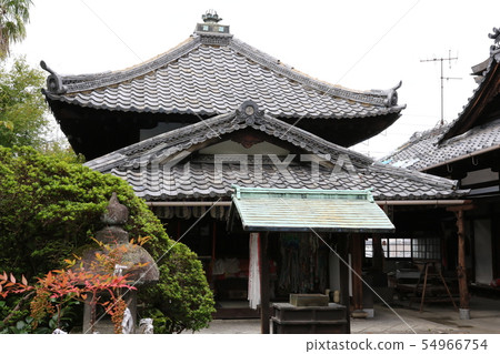 安海因(限日吉祖) 安海因(限日吉祖) 54966754