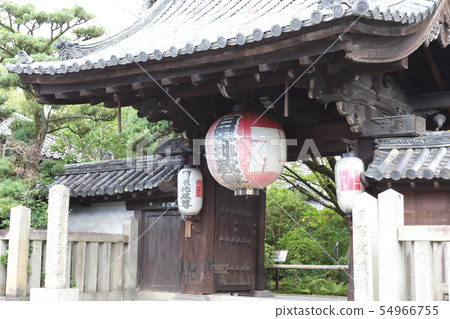 安海因(限日吉祖) 安海因(限日吉祖) 54966755