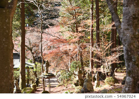 長安寺五百欒 54967024