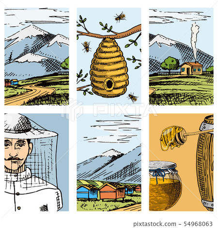 Apiary farm cards hand drawn vintage honey making farmer beekeeper illustration nature product by Apiary farm cards hand drawn vintage honey making farmer beekeeper illustration nature product by 54968063
