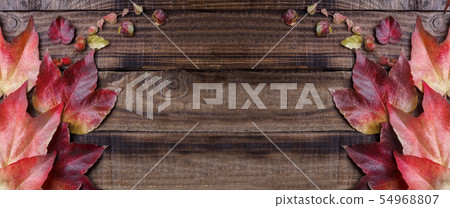 Autumn leaves over dark vintage background Autumn leaves over dark vintage background 54968807