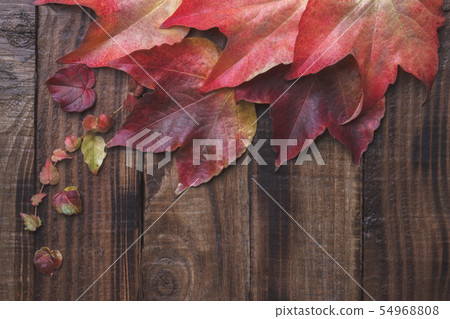Autumn leaves over dark vintage background Autumn leaves over dark vintage background 54968808