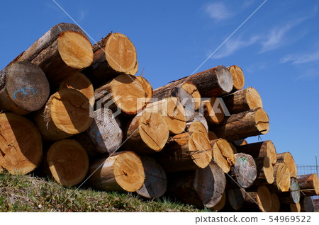 Log wood storage 54969522