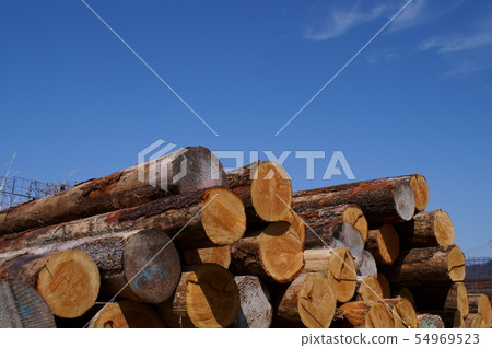 Log wood storage 54969523