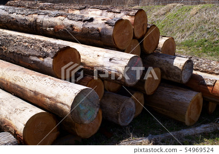 Log wood storage 54969524