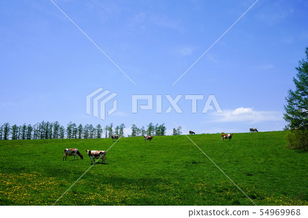 Naitai highland ranch Kamishiboro-cho 54969968