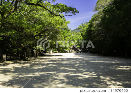 Oyamasan Shrine Premises approach Shimanami Kaido Omijima Ehime Prefecture Imabari City Oyamasan Shrine Premises approach Shimanami Kaido Omijima Ehime Prefecture Imabari City 54970490