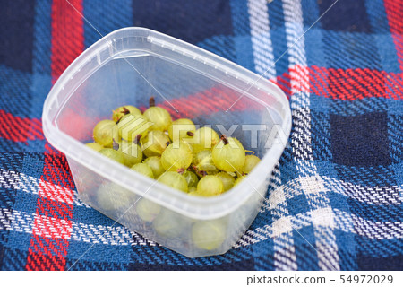 Gooseberry in a plate on the cover in the garden Gooseberry in a plate on the cover in the garden 54972029