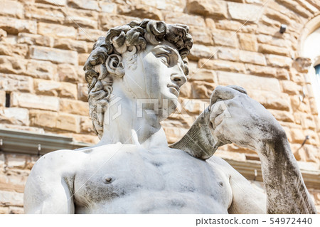 Replica Statue of David on Piazza della Signoria 54972440