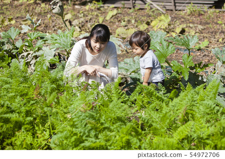 Family parent and child 54972706