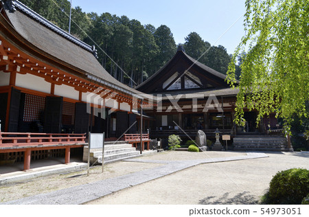 三條寺和正殿寺 54973051