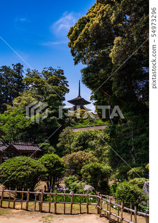 (Ishikawa) Noto's treasure Myoneiji five-story pagoda seen from the garden 54973296