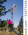 Old windmill in Northern Cyprus 54973346