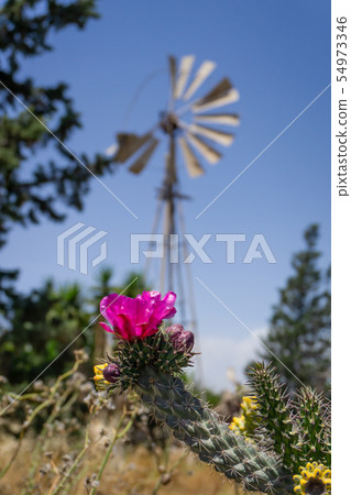 Old windmill in Northern Cyprus Old windmill in Northern Cyprus 54973346
