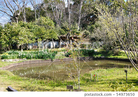法華寺 法華寺 54973650