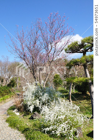法華寺 法華寺 54973651
