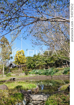 法華寺 法華寺 54973652