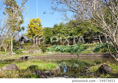 法華寺 法華寺 54973653