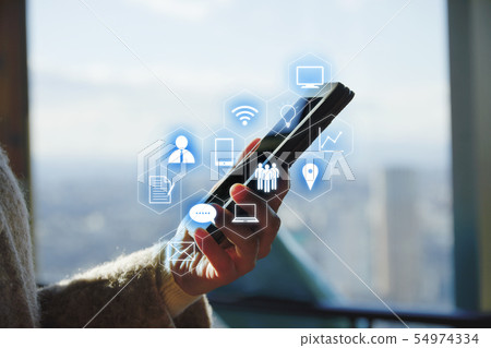 The network The network 54974334