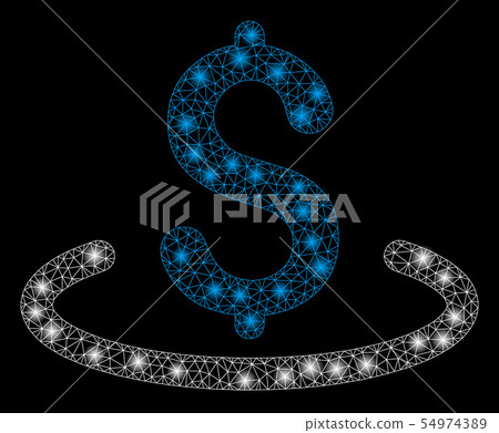 Bright Mesh Carcass Dollar Location with Light Spots Bright Mesh Carcass Dollar Location with Light Spots 54974389