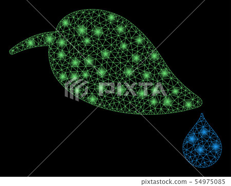 Bright Mesh Network Ecology with Flash Spots Bright Mesh Network Ecology with Flash Spots 54975085