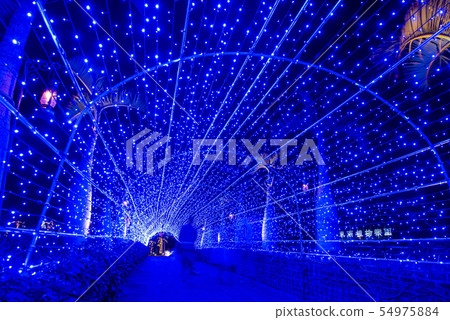 沖繩東南植物園照亮了長廊照明 54975884