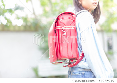 elementary student, primary school child, primary school student 54976049