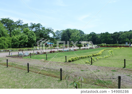 公園風光 54980286