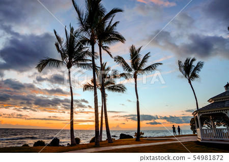 Puako灣晚上視圖 54981872