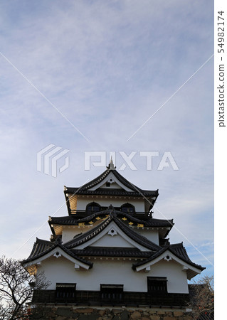 Hikone Castle in the late fall 54982174