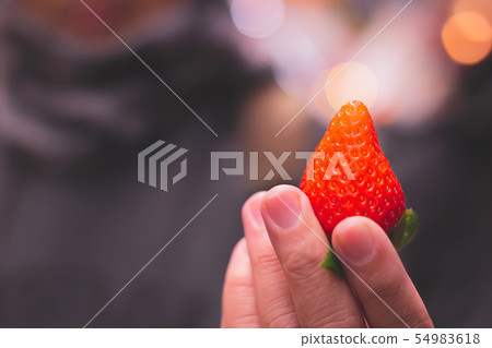 Japanese big fresh strawberry show in people hand Japanese big fresh strawberry show in people hand 54983618